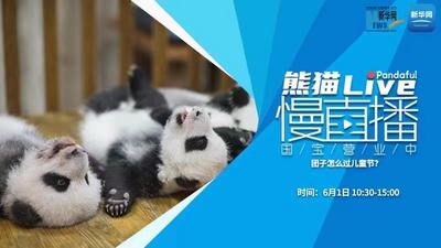 熊猫慢直播：团子怎么过儿童节？