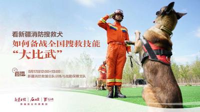 石榴直播丨看新疆消防搜救犬如何备战全国搜救技能“大比武”
