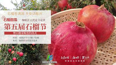 石榴直播丨直击伽师县玉代克力克乡石榴节 共品石榴香满园