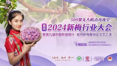 石榴直播丨500架无人机点亮夜空！直击2024新梅行业大会暨第九届中国新疆喀什·伽师新梅展销会文艺汇演