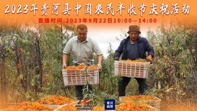 2023年青河县“中国农民丰收节”庆祝活动
