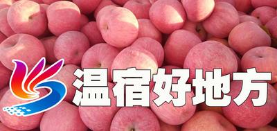 “醉美梨花节·畅游克孜勒”——阿克苏地区第六届乡村文化体育旅游节系列活动之温宿县第五届乡村文化体育旅游节暨兵地共融系列活动