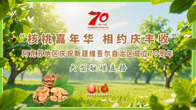 “核桃嘉年华 相约庆丰收”—阿克苏地区庆祝新疆维吾尔自治区成立70周年大型融媒直播