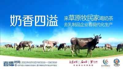 石榴直播丨奶香四溢！ 来草原牧民家喝奶茶 去乳制品企业看现代化生产