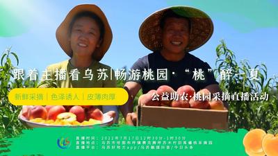 跟着主播看乌苏|畅游桃园·“桃”醉一夏桃园采摘直播活动