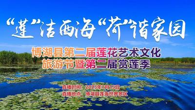 石榴直播│来新疆赏莲啦！博湖县8万亩野生睡莲绽放“莲花节”