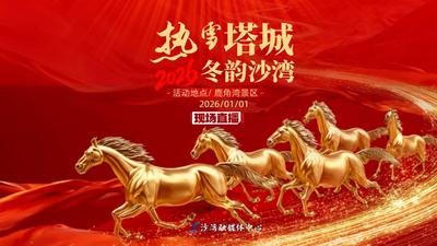 2026年"热雪塔城·冬韵沙湾"