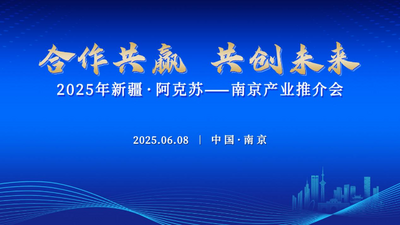 2025年新疆·阿克苏—南京产业推介会