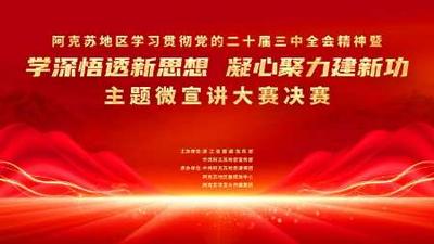 学习宣传贯彻党的二十届三中全会精神暨“学深悟透新思想 凝心聚力建新功”主题微宣讲大赛决赛