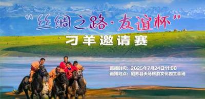 “丝绸之路·友谊杯”刁羊邀请赛     