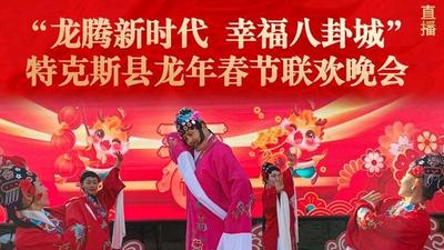 直播|“龙腾新时代 幸福八卦城”特克斯县龙年春节联欢晚会