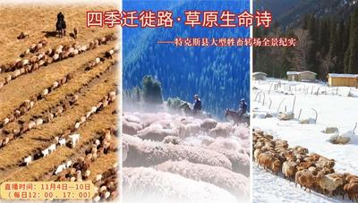 四季迁徙路·草原生命诗——特克斯县大型牲畜转场全景纪实
