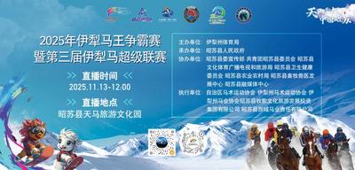 2025年伊犁马王争霸赛暨第三届伊犁马超级联赛