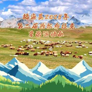 福海县2025年第二届沙尔布拉克草原运动会