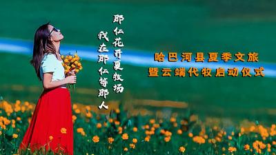 “那仁花开夏牧场  我在那仁等那人“哈巴河县夏季文旅暨云端代牧启动仪式
