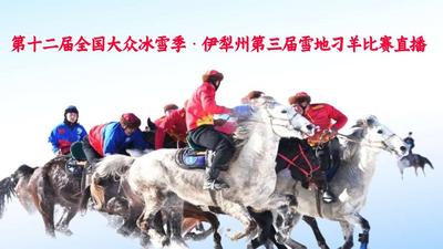 第十二届全国大众冰雪季·伊犁州第三届雪地刁羊比赛直播