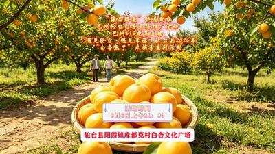 “疆品鲜递”快递助农推广、巴州618电商直播嘉年华暨“遇见轮台·遇见幸福”2026年“白杏熟了”采摘季系列活动