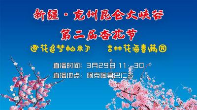 新疆·克州昆仑大峡谷第二届杏花节 “逐花追梦帕米尔 杏林花海春满园”直播