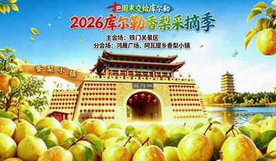 把周末交给库尔勒！2026库尔勒香梨采摘季系列活动