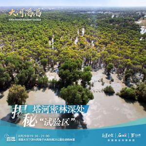 大河滔滔·石榴直播｜揭秘塔河密林深处“试验区”