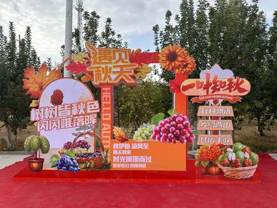 【庆祝新疆维吾尔自治区成立70周年】 “甜美西山 融情金秋”丰收节 哈密市伊州区西山乡  美丽哈密乡村振兴百村直播 第105场