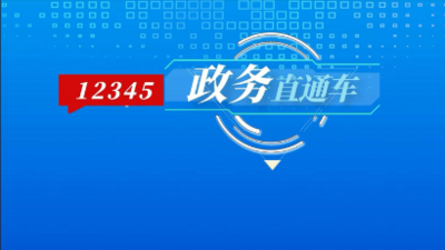 12345政务直通车｜致敬巾帼力量 服务温暖民心