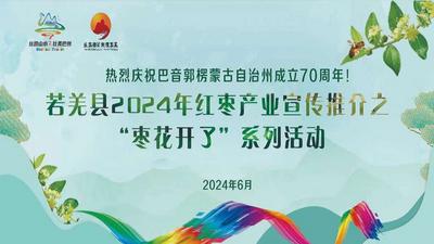 若羌县2024年红枣产业宣传推介之“枣花开了”系列活动