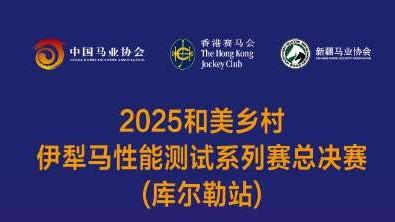 2025和美乡村·伊犁马性能测试系列赛总决赛（库尔勒站）