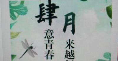 迎春风赏花去
