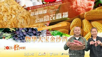 沙湾融媒带您看物华天宝金沙湾
