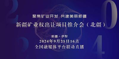 聚焦！新疆矿业权出让项目推介会（北疆）
