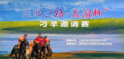 “丝绸之路·友谊杯”刁羊邀请赛 