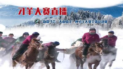 新疆马会“天山骑士”杯刁羊大赛全疆总决赛