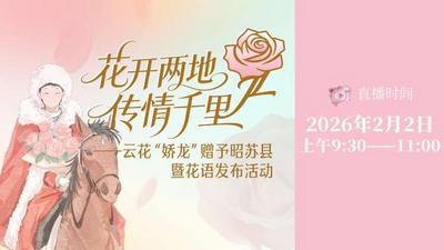 “花开两地 传情千里”——云花“娇龙”赠予昭苏县暨花语发布活动